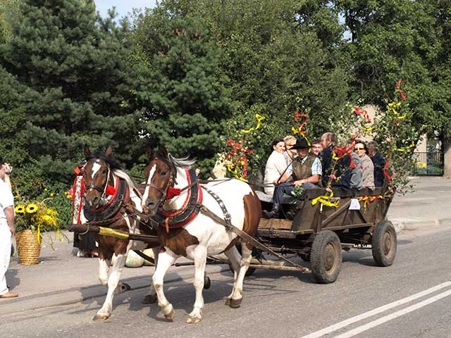 Zdjęcie w galerii na portalu naszraciborz.pl: Dożynkowy zawrót głowy wiadomości z regionu