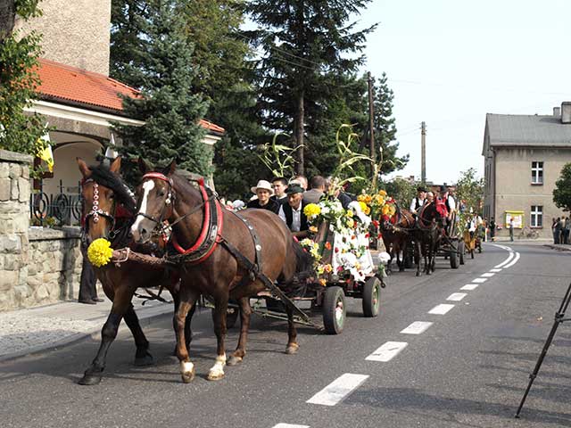 Zdjęcie w galerii na portalu naszraciborz.pl: Dożynkowy zawrót głowy wiadomości z regionu