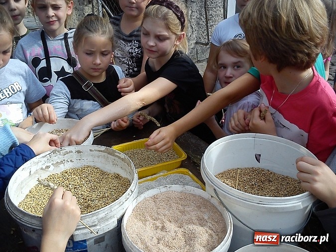 Zdjęcie w galerii na portalu naszraciborz.pl: Żywa lekcja przyrody wiadomości z regionu