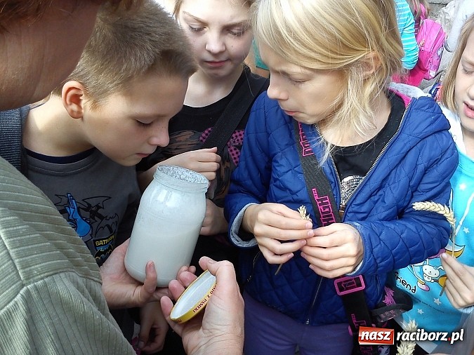 Zdjęcie w galerii na portalu naszraciborz.pl: Żywa lekcja przyrody wiadomości z regionu