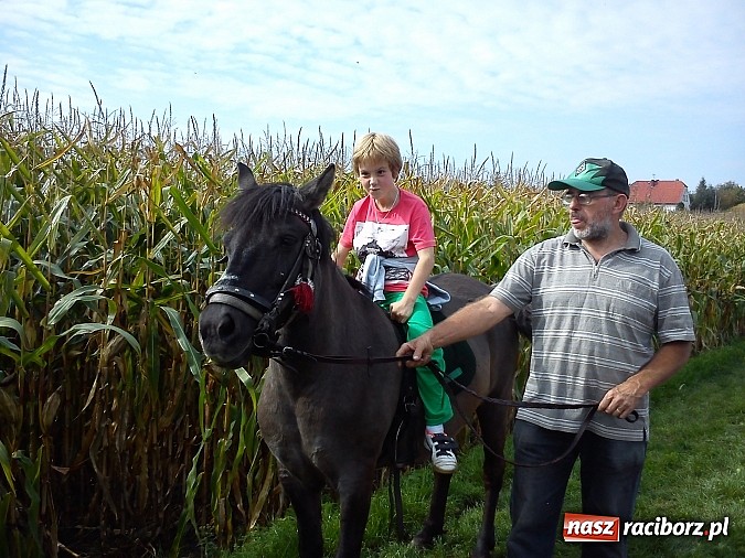 Zdjęcie w galerii na portalu naszraciborz.pl: Żywa lekcja przyrody wiadomości z regionu