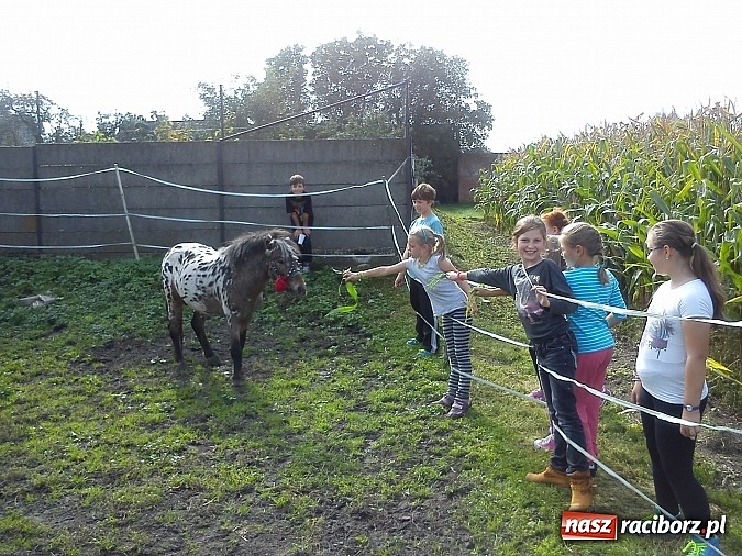 Zdjęcie w galerii na portalu naszraciborz.pl: Żywa lekcja przyrody wiadomości z regionu