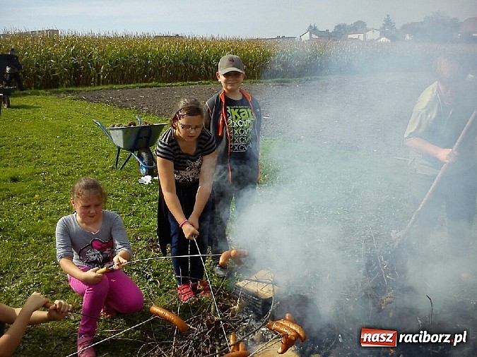 Zdjęcie w galerii na portalu naszraciborz.pl: Żywa lekcja przyrody wiadomości z regionu