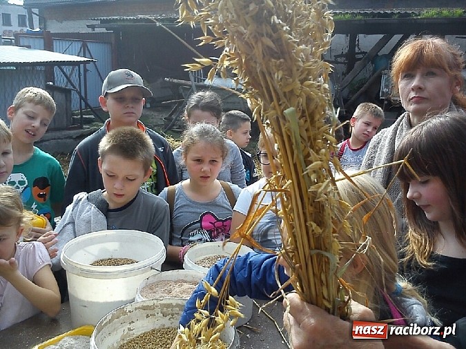 Zdjęcie w galerii na portalu naszraciborz.pl: Żywa lekcja przyrody wiadomości z regionu