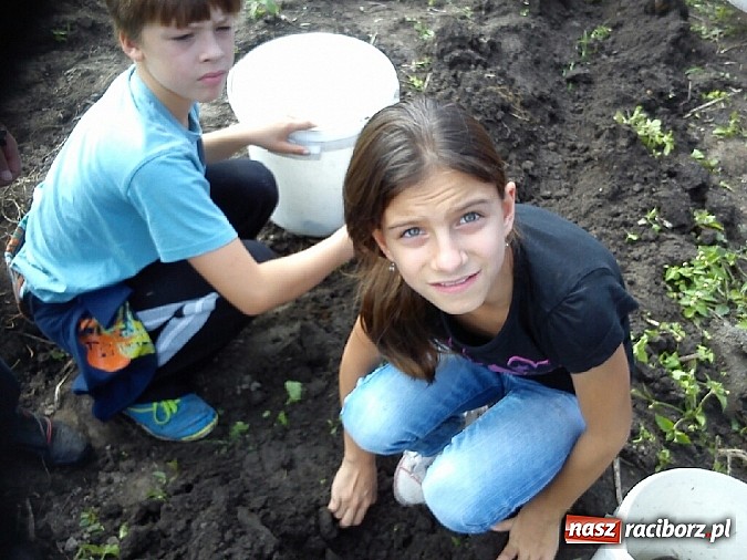 Zdjęcie w galerii na portalu naszraciborz.pl: Żywa lekcja przyrody wiadomości z regionu