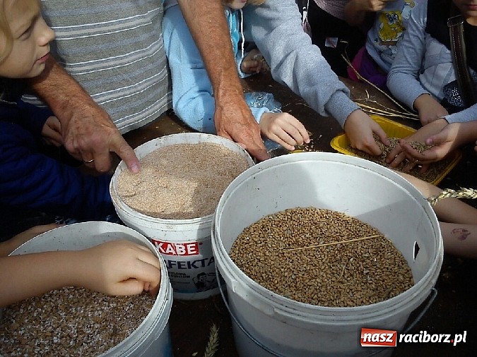 Zdjęcie w galerii na portalu naszraciborz.pl: Żywa lekcja przyrody wiadomości z regionu