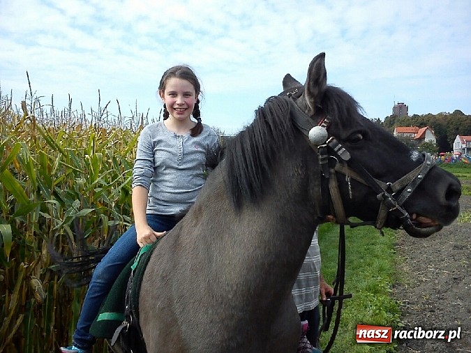 Zdjęcie w galerii na portalu naszraciborz.pl: Żywa lekcja przyrody wiadomości z regionu