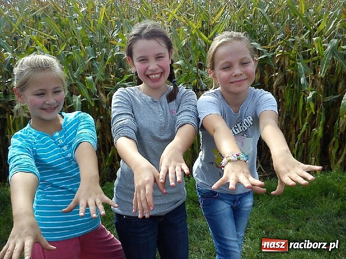 Zdjęcie w galerii na portalu naszraciborz.pl: Żywa lekcja przyrody wiadomości z regionu