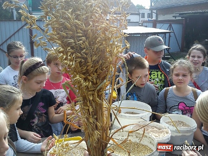 Zdjęcie w galerii na portalu naszraciborz.pl: Żywa lekcja przyrody wiadomości z regionu