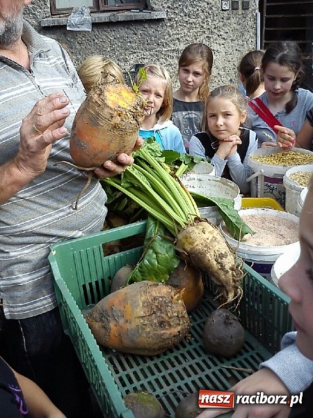 Zdjęcie w galerii na portalu naszraciborz.pl: Żywa lekcja przyrody wiadomości z regionu