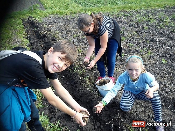Zdjęcie w galerii na portalu naszraciborz.pl: Żywa lekcja przyrody wiadomości z regionu