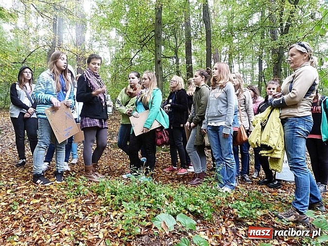 Zdjęcie w galerii na portalu naszraciborz.pl: Jesień pod znakiem ekologii w Gimnazjum nr 1 im. Wisławy Szymborskiej  wiadomości z regionu