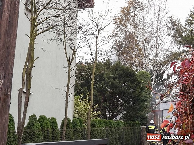 Zdjęcie w galerii na portalu naszraciborz.pl: 700 tys. zł strat w pożarze domów na Skłodowskiej. Przyczyną było podpalenie wiadomości z regionu