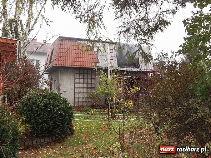 Zdjęcie w galerii na portalu naszraciborz.pl: 700 tys. zł strat w pożarze domów na Skłodowskiej. Przyczyną było podpalenie wiadomości z regionu