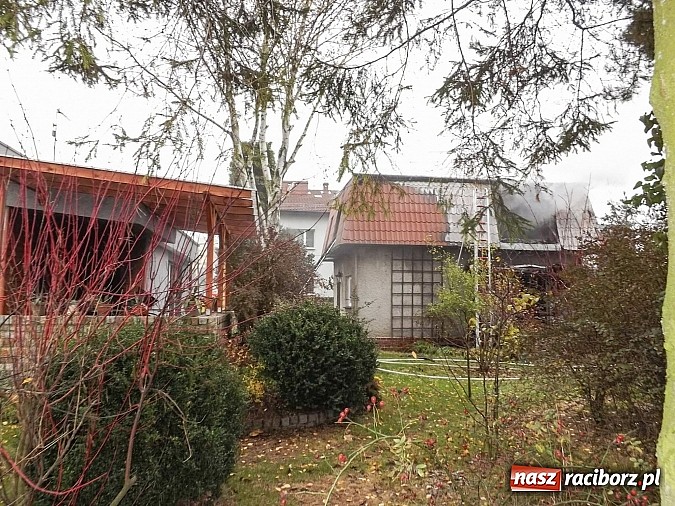 Zdjęcie w galerii na portalu naszraciborz.pl: 700 tys. zł strat w pożarze domów na Skłodowskiej. Przyczyną było podpalenie wiadomości z regionu