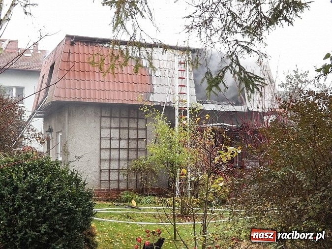 Zdjęcie w galerii na portalu naszraciborz.pl: 700 tys. zł strat w pożarze domów na Skłodowskiej. Przyczyną było podpalenie wiadomości z regionu