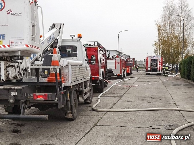 Zdjęcie w galerii na portalu naszraciborz.pl: 700 tys. zł strat w pożarze domów na Skłodowskiej. Przyczyną było podpalenie wiadomości z regionu