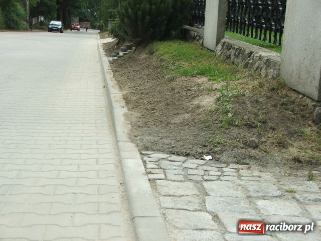 Zdjęcie w galerii na portalu naszraciborz.pl: Kobylska jak z marzeń wiadomości z regionu