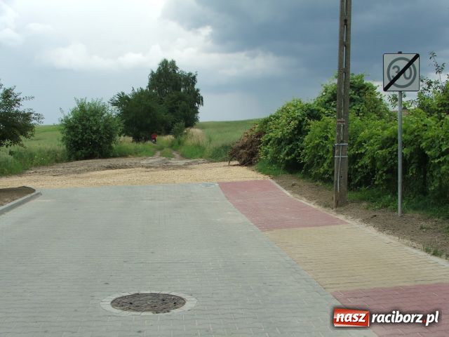 Zdjęcie w galerii na portalu naszraciborz.pl: Kobylska jak z marzeń wiadomości z regionu