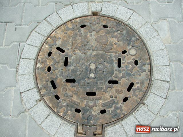 Zdjęcie w galerii na portalu naszraciborz.pl: Kobylska jak z marzeń wiadomości z regionu