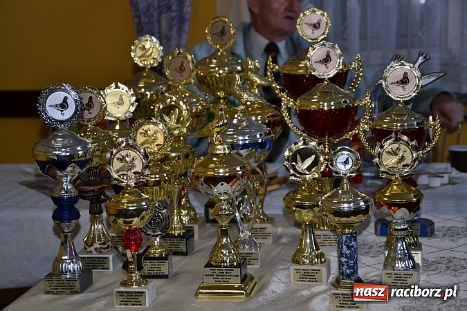 Zdjęcie w galerii na portalu naszraciborz.pl: Zakończył się sezon lotowy gołębi  wiadomości z regionu