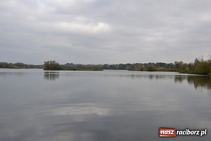 Zdjęcie w galerii na portalu naszraciborz.pl: Wędkarze z Koła Krzyżanowice zakończyli sezon polowaniem na szczupaka wiadomości z regionu