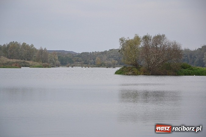 Zdjęcie w galerii na portalu naszraciborz.pl: Wędkarze z Koła Krzyżanowice zakończyli sezon polowaniem na szczupaka wiadomości z regionu