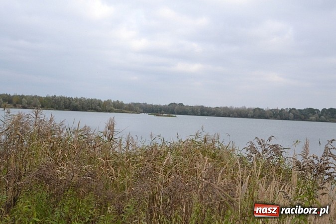 Zdjęcie w galerii na portalu naszraciborz.pl: Wędkarze z Koła Krzyżanowice zakończyli sezon polowaniem na szczupaka wiadomości z regionu