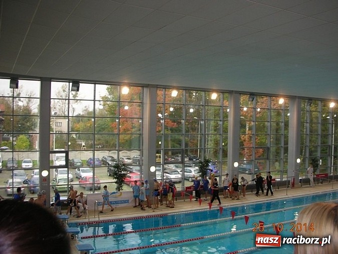 Zdjęcie w galerii na portalu naszraciborz.pl: Pływanie. Dobre starty młodych pływaków wiadomości z regionu