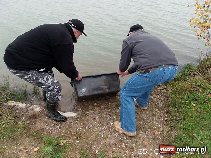 Zdjęcie w galerii na portalu naszraciborz.pl: Wędkarze rywalizowali na Babiczoku ostatni raz w sezonie wiadomości z regionu