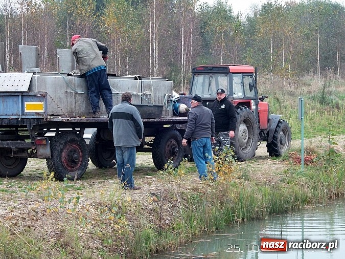 Zdjęcie w galerii na portalu naszraciborz.pl: Wędkarze rywalizowali na Babiczoku ostatni raz w sezonie wiadomości z regionu
