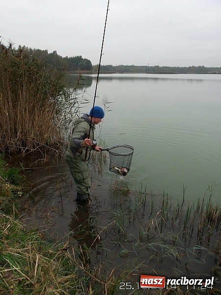 Zdjęcie w galerii na portalu naszraciborz.pl: Wędkarze rywalizowali na Babiczoku ostatni raz w sezonie wiadomości z regionu