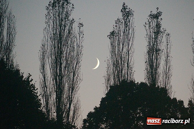 Zdjęcie w galerii na portalu naszraciborz.pl: Orliki: Unia i gorączka nie pokonały Tworkowa wiadomości z regionu