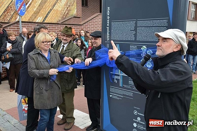 Zdjęcie w galerii na portalu naszraciborz.pl: W Katowicach otwarto ścieżkę edukacyjną Aleja drzew polskich wiadomości z regionu