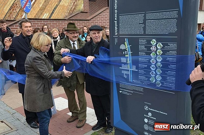 Zdjęcie w galerii na portalu naszraciborz.pl: W Katowicach otwarto ścieżkę edukacyjną Aleja drzew polskich wiadomości z regionu