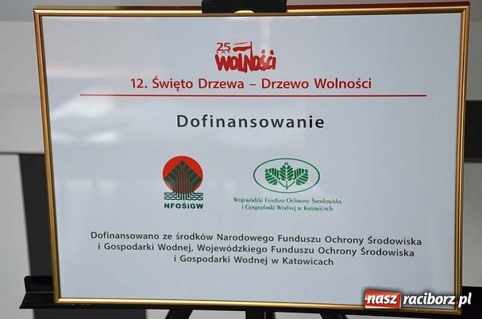 Zdjęcie w galerii na portalu naszraciborz.pl: W Katowicach otwarto ścieżkę edukacyjną Aleja drzew polskich wiadomości z regionu