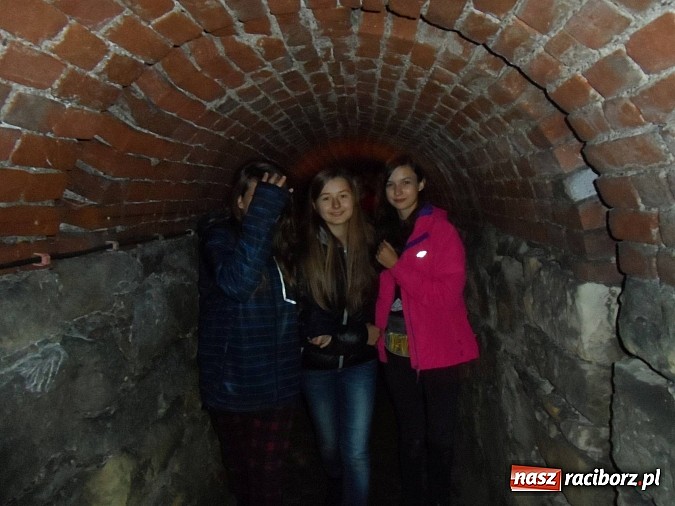 Zdjęcie w galerii na portalu naszraciborz.pl: Gimnazjum na Ostrogu realizuje kolejny polsko-czeski projekt  wiadomości z regionu