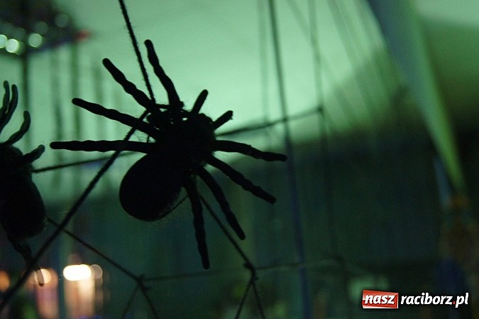 Zdjęcie w galerii na portalu naszraciborz.pl: Strefowicze straszyli na imprezie halloweenowej  wiadomości z regionu