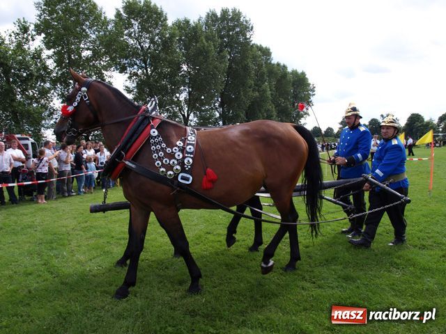 Zdjęcie w galerii na portalu naszraciborz.pl: Wieś się bawi, miasto śpi wiadomości z regionu