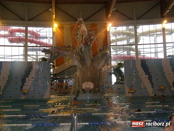 Zdjęcie w galerii na portalu naszraciborz.pl: Z nami tw&oacute;rczo płynie czas - wycieczka do Krakowa wiadomości z regionu