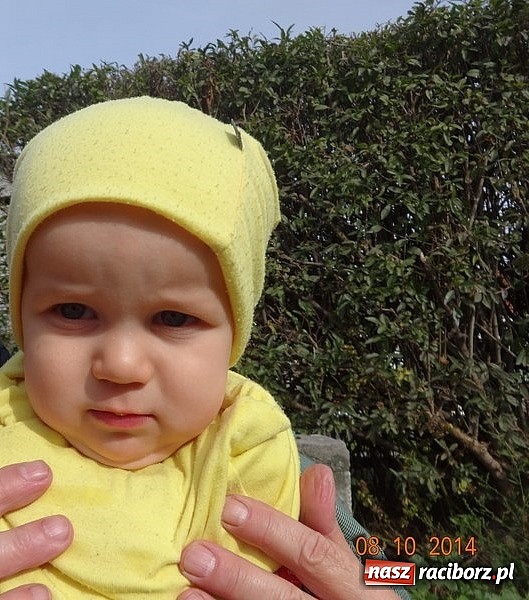 Zdjęcie w galerii na portalu naszraciborz.pl: Jesienne zajęcia w Fiku-miku wiadomości z regionu