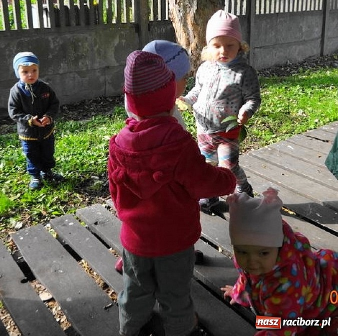 Zdjęcie w galerii na portalu naszraciborz.pl: Jesienne zajęcia w Fiku-miku wiadomości z regionu