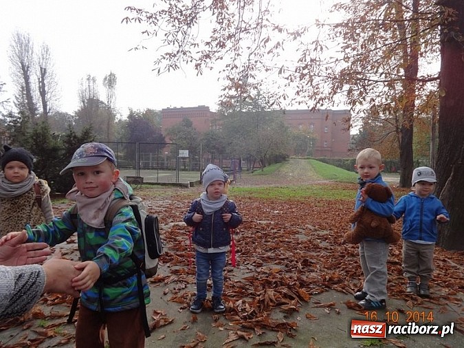 Zdjęcie w galerii na portalu naszraciborz.pl: Jesienne zajęcia w Fiku-miku wiadomości z regionu