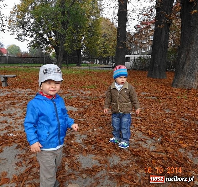 Zdjęcie w galerii na portalu naszraciborz.pl: Jesienne zajęcia w Fiku-miku wiadomości z regionu