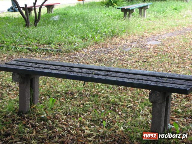 Zdjęcie w galerii na portalu naszraciborz.pl: Niech tu ktoś posprząta! wiadomości z regionu