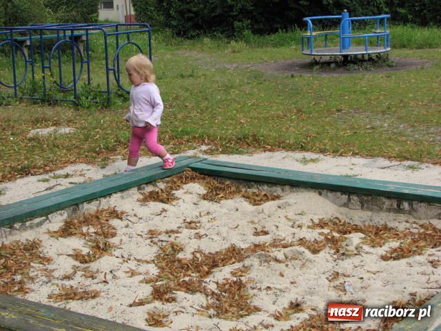 Zdjęcie w galerii na portalu naszraciborz.pl: Niech tu ktoś posprząta! wiadomości z regionu