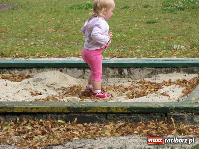 Zdjęcie w galerii na portalu naszraciborz.pl: Niech tu ktoś posprząta! wiadomości z regionu