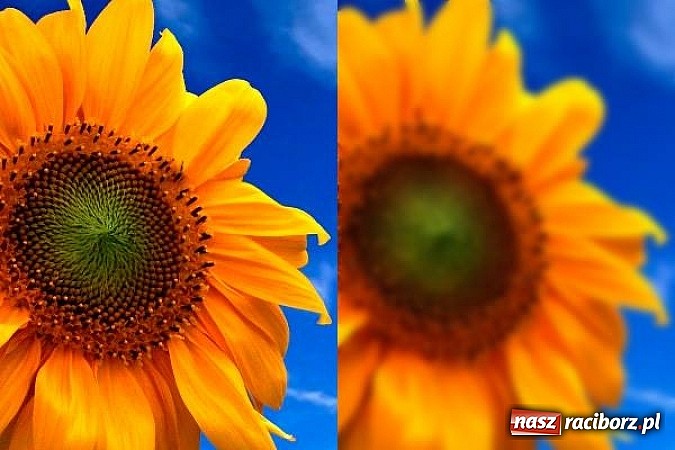 Zdjęcie w galerii na portalu naszraciborz.pl:  Europejskie prawa dla polskich pacjentów wiadomości z regionu