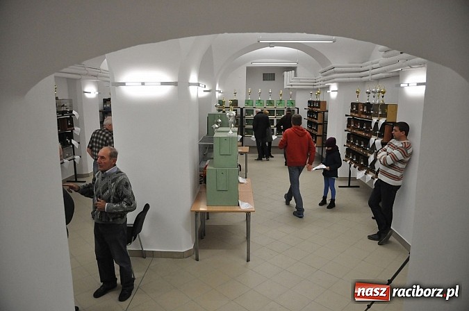 Zdjęcie w galerii na portalu naszraciborz.pl: Wystawa kanarków i ptaków egzotycznych w Labiryncie wiadomości z regionu