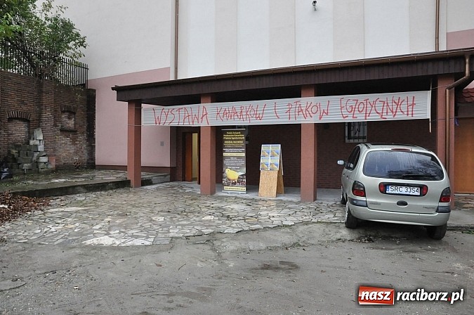 Zdjęcie w galerii na portalu naszraciborz.pl: Wystawa kanarków i ptaków egzotycznych w Labiryncie wiadomości z regionu